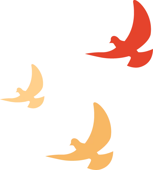 �DƬ